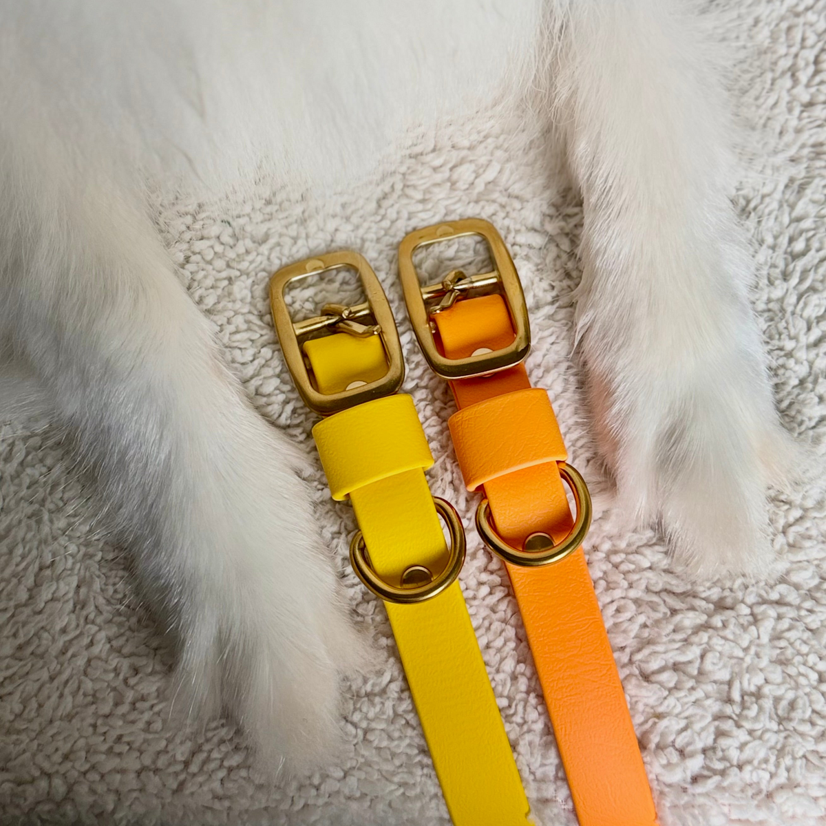 Essentials Collar - Sunflower