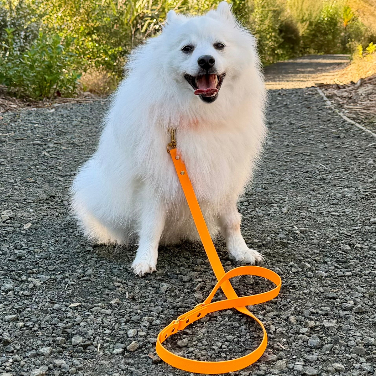 Essentials Lead - Tangerine