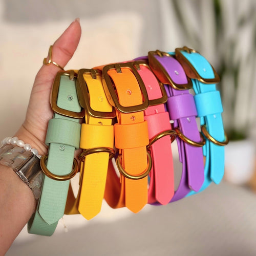Daydream collection picture with six different colors. Sage, sunflower, tangerine, coral, orchid and sky.