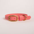Essentials dog collar in pink colour
