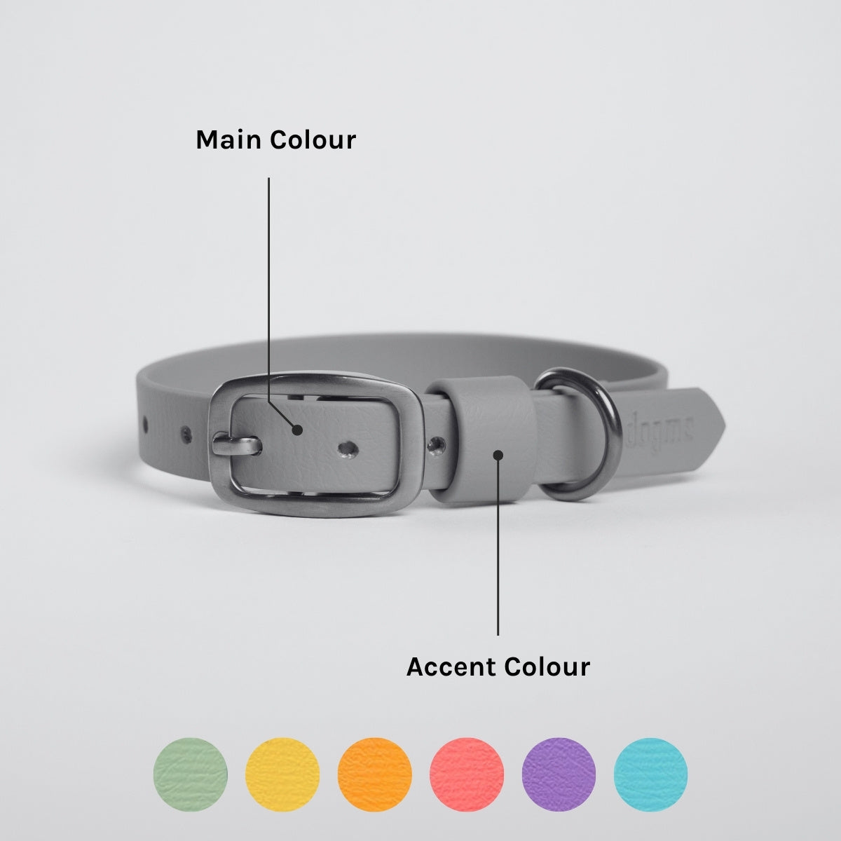 Collar - Design Your Own