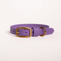 Essentials Collar - Orchid