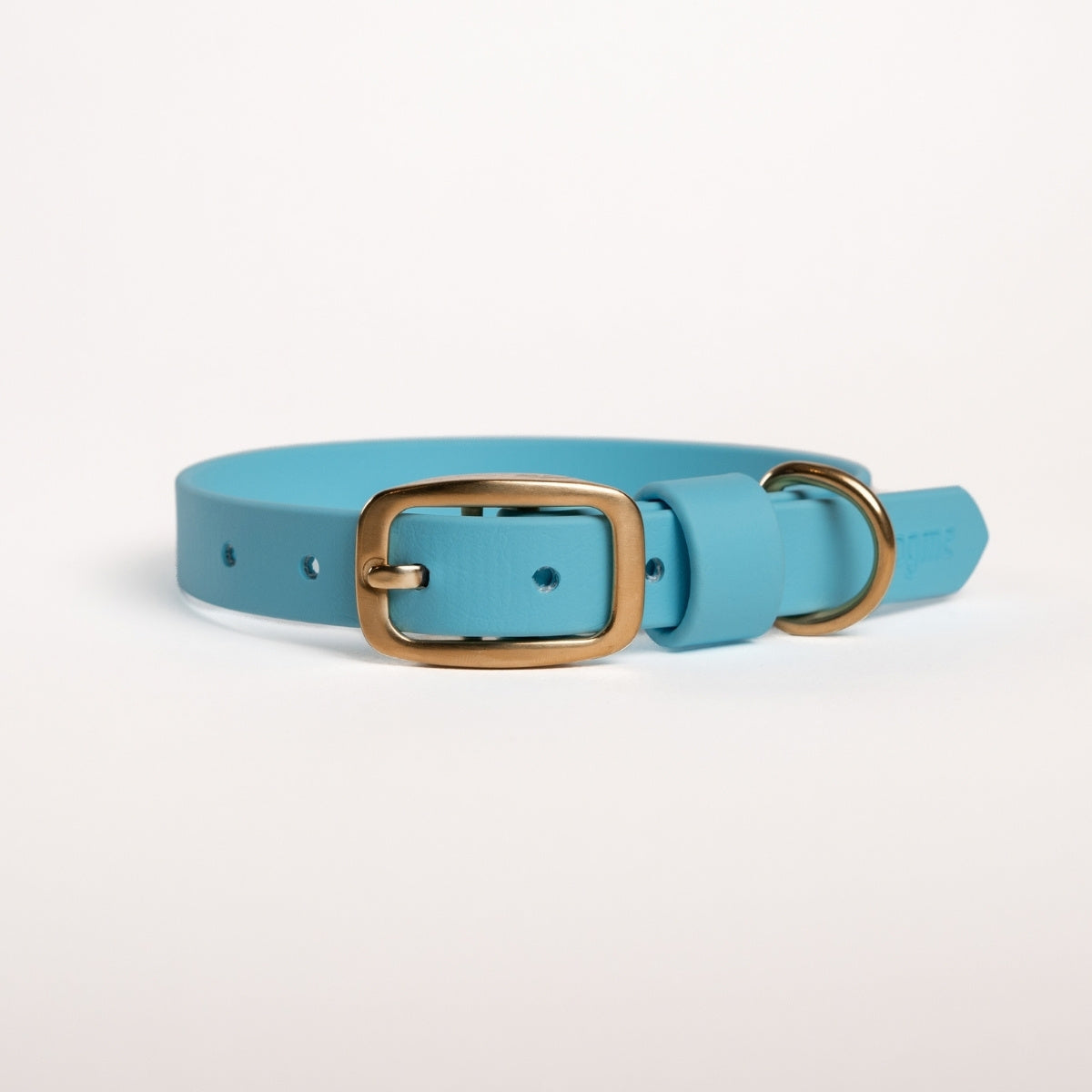 Essentials dog collar in blue colour