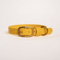 Essentials Collar - Sunflower