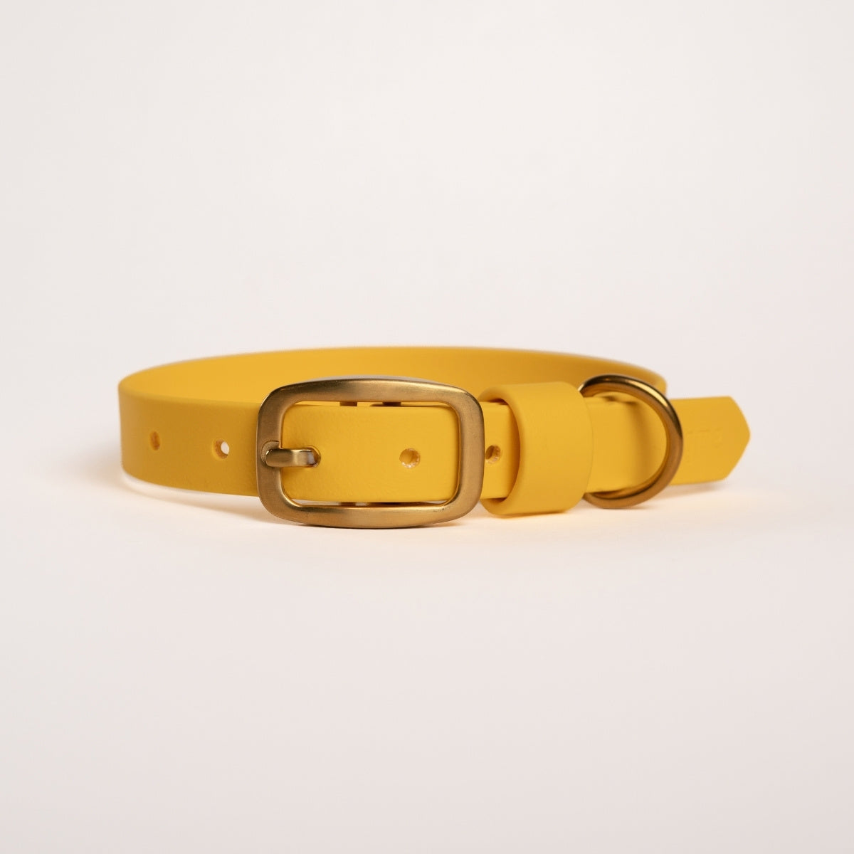 Essentials Collar - Sunflower