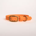 Essentials Collar - Tangerine