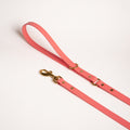Essentials Lead - Coral