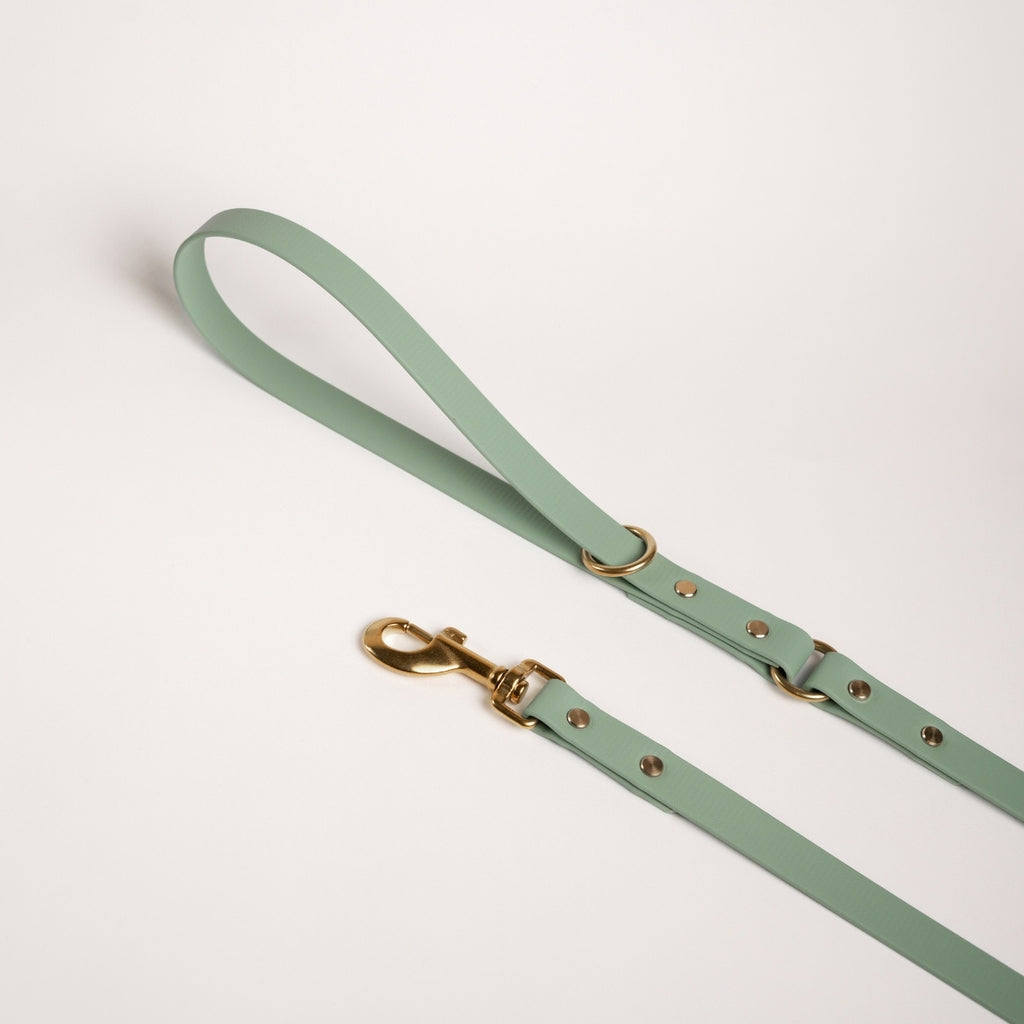 Essentials Lead - Sage