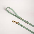 Essentials Lead - Sage