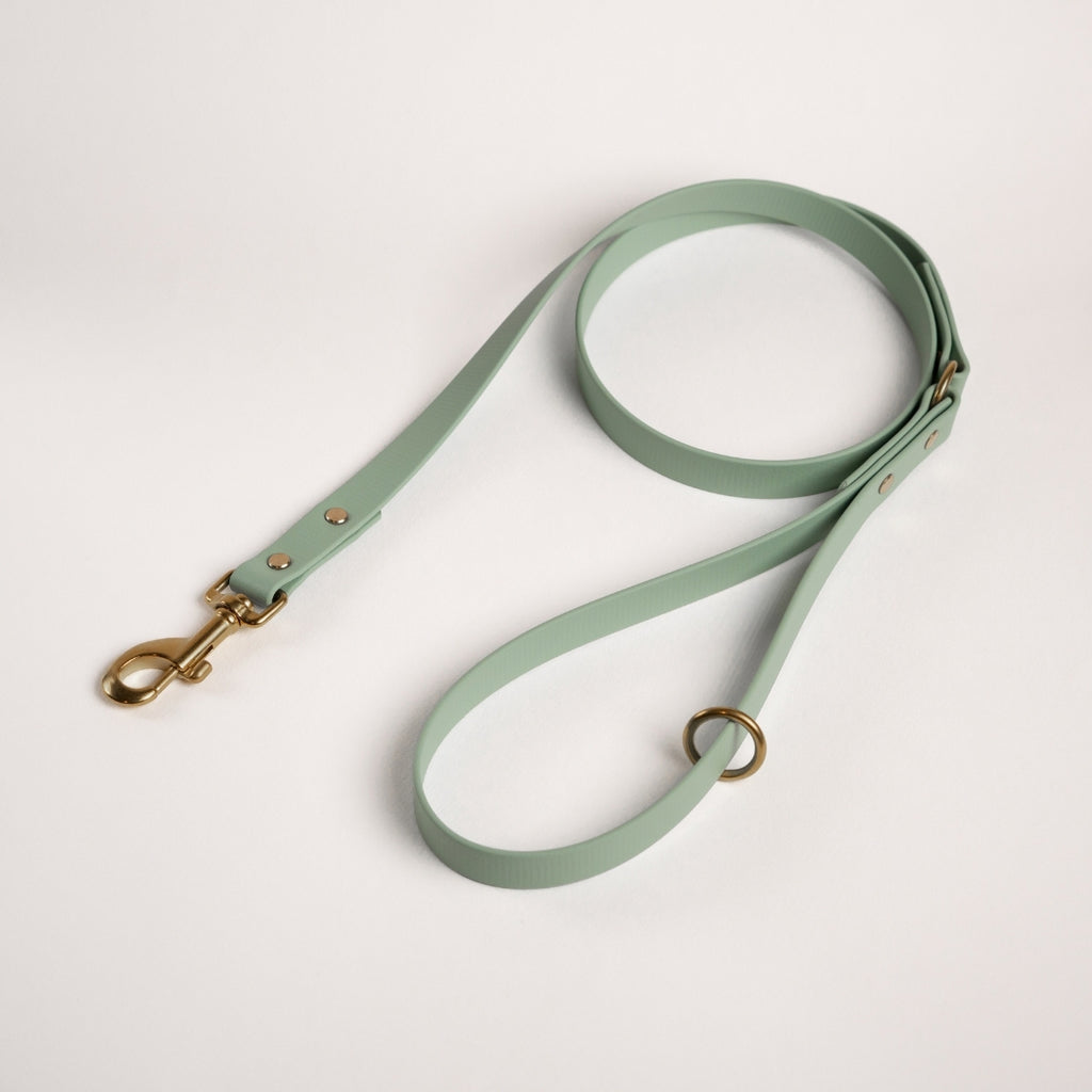 Essentials Lead - Sage