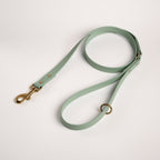 Essentials Lead - Sage