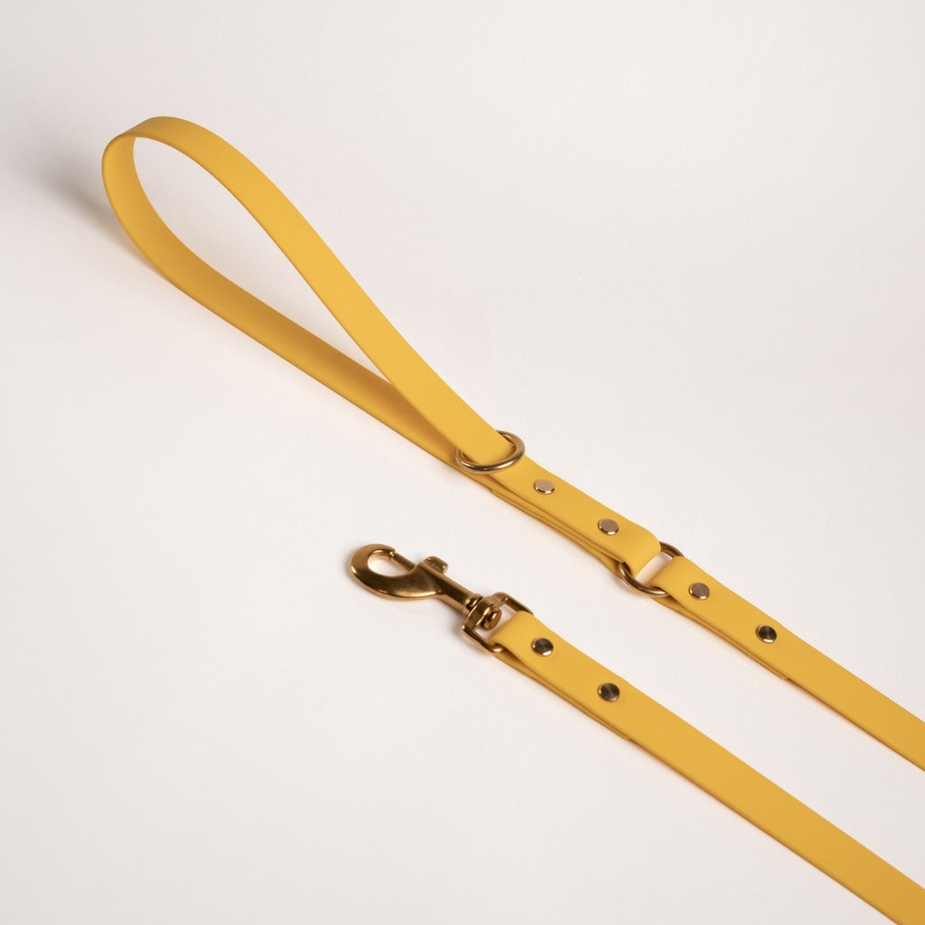 Essentials dog leash in yellow colour