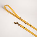 Essentials dog leash in yellow colour
