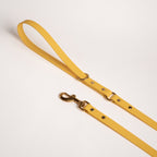 Essentials dog leash in yellow colour