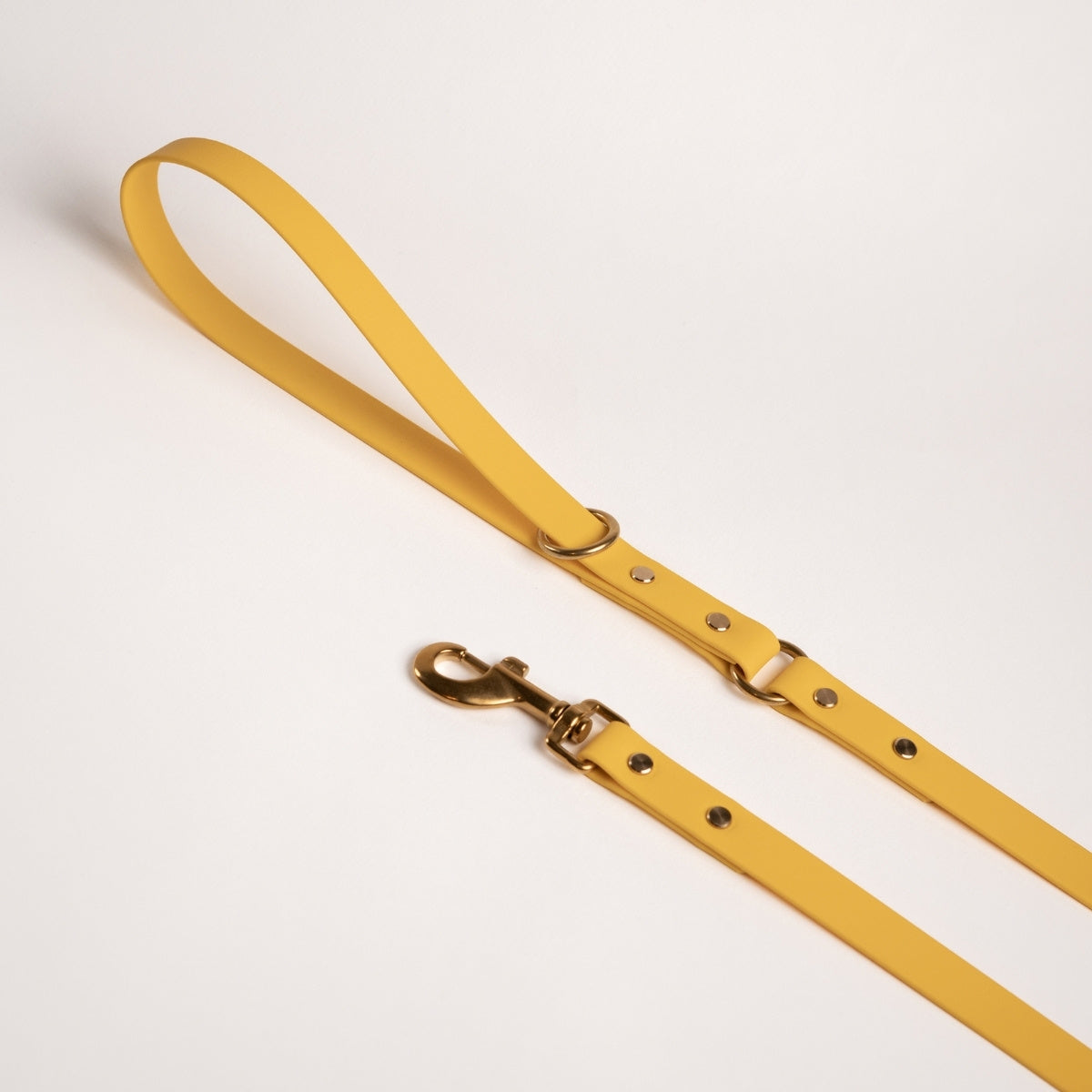 Essentials Lead - Sunflower