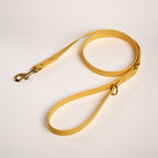 Essentials dog leash in yellow colour