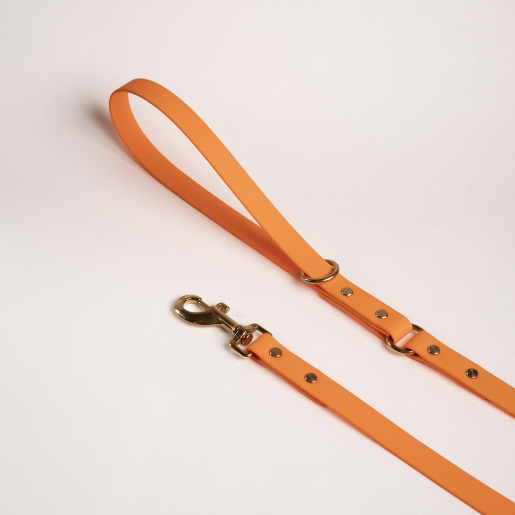 Essentials Lead - Tangerine